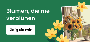 category_banner_big_mobile