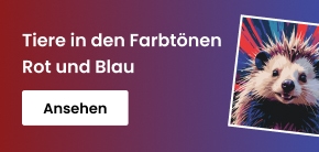 category_banner_big_mobile