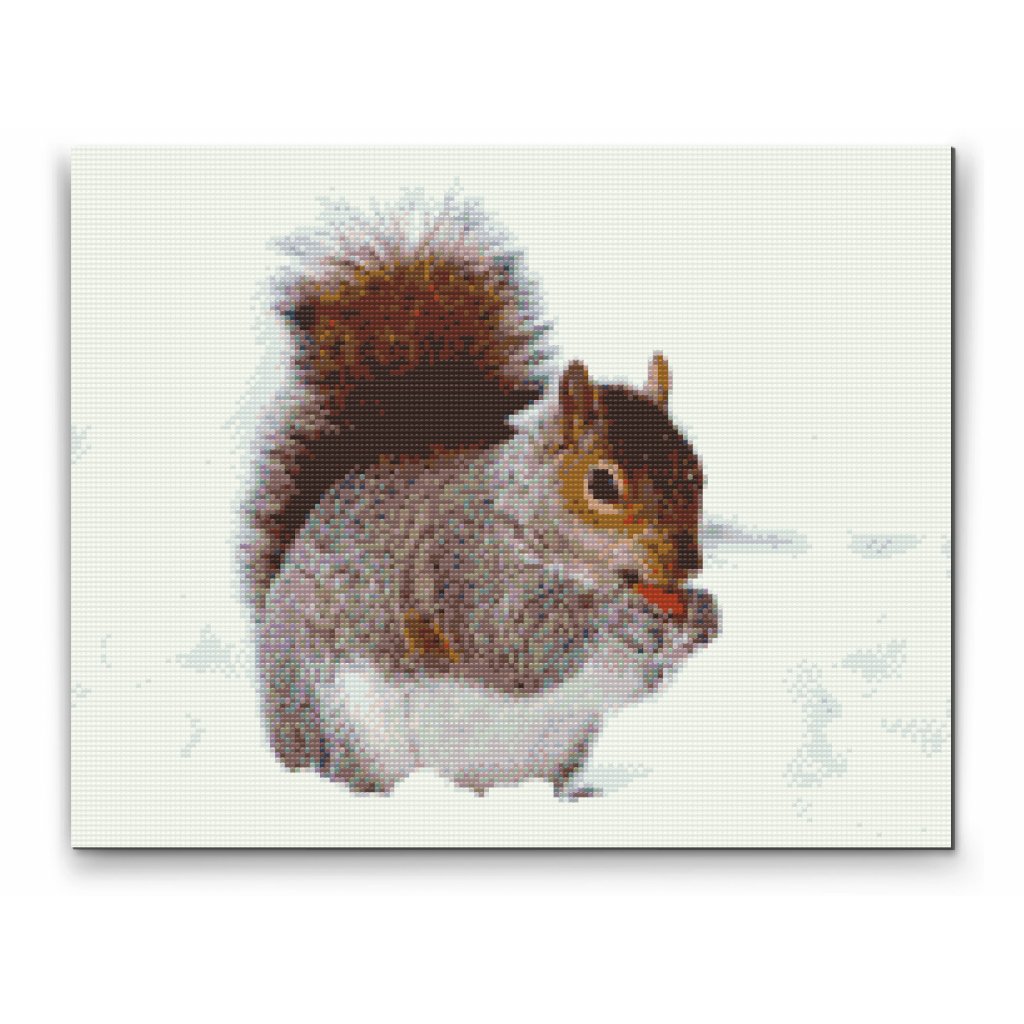 Diamond painting - Eichhörnchen mit einer Nuss