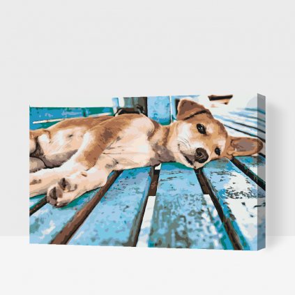 Malen nach Zahlen - Fauler Hund