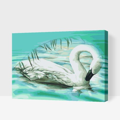 Malen nach Zahlen - Schwan in einem türkisfarbenen See