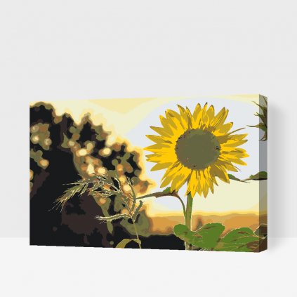 Malen nach Zahlen - Sonnenblume auf der Wiese