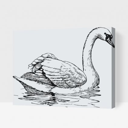 Malen nach Zahlen - Schwan im See