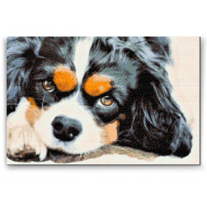 Diamond Painting - Nachdenklicher Hund