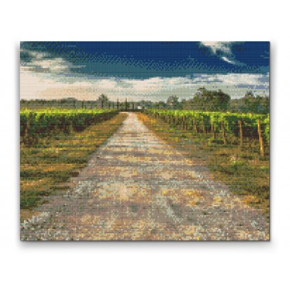 Diamond Painting - Toskanische Weinberge