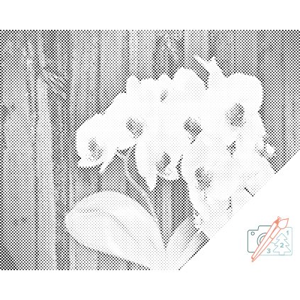 Punktmalerei - Weisse Orchidee