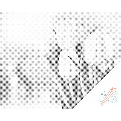 Punktmalerei - Weiße Tulpen