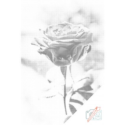 Punktmalerei - Blühende Rose