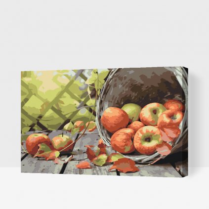 Malen nach Zahlen - Äpfel in einem Korb