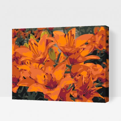 Malen nach Zahlen - Orangefarbene Lilien