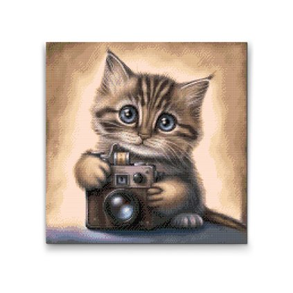 Diamond Painting - Kätzchen mit Kamera