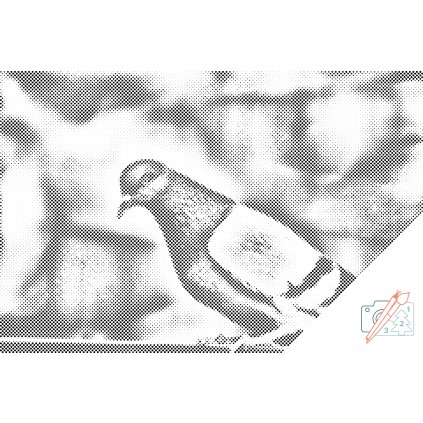 Punktmalerei - Taube
