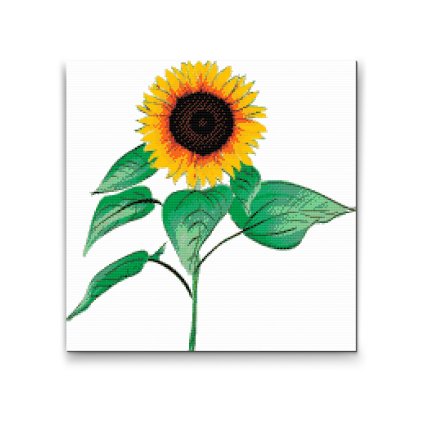 Diamond Painting - Sonnenblume 2