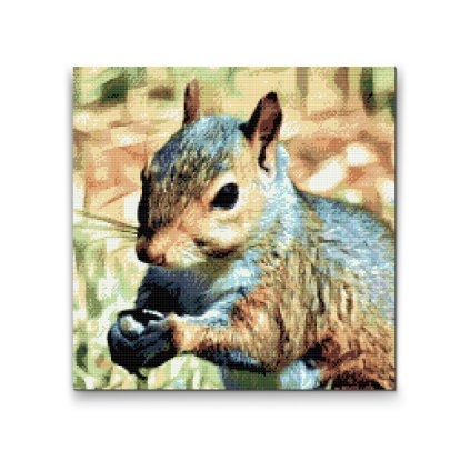 Diamond Painting - Eichhörnchen