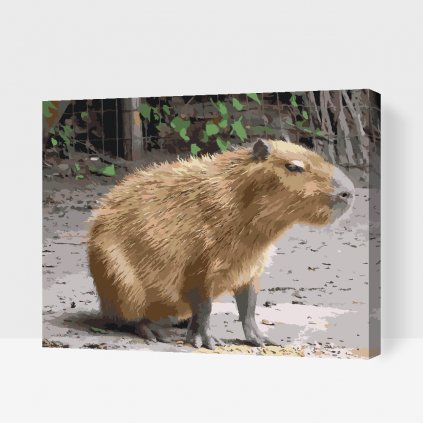 Malen nach Zahlen - Capybara