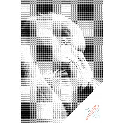 Punktmalerei - Diamond Painting - Flamingo-Porträt