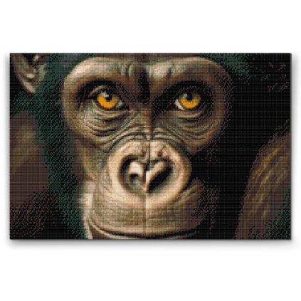 Diamond Painting - Schimpanse aus Nahsicht