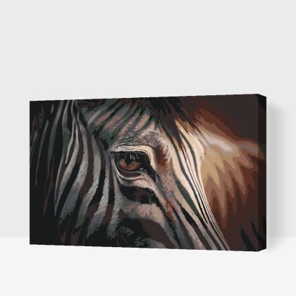 Malen nach Zahlen - Zebra aus Nahsicht