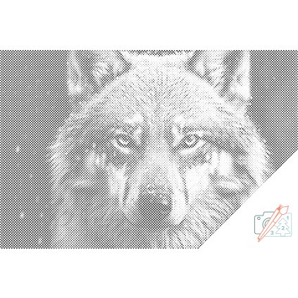 Punktmalerei - Wolfsgesicht