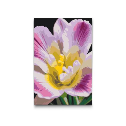 M2_Malen_nach_Zahlen_-_Fresienblüte