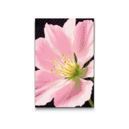 M2_Diamond_painting_-_Pelargonienblüte