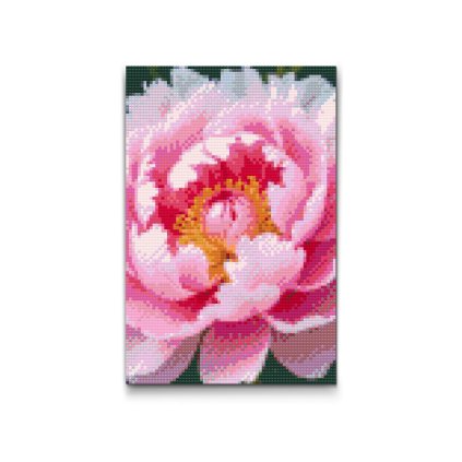 M2_Diamond_painting_-_Pfingstrosenblüte