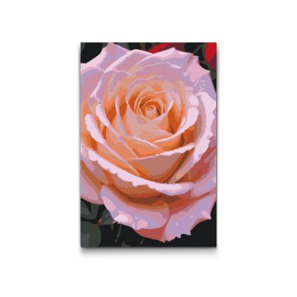 M2_Malen_nach_Zahlen_-_Rosenblüte