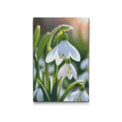 M2_Diamond_painting_-_Schneeglöckchenblüte