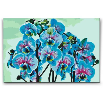 Malen_nach_Zahlen_Blaue_orchidee_M2