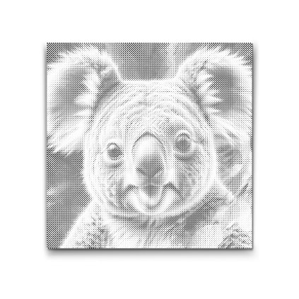 M2_Punktmalerei_-_Koala_in_Türkis-_und_Orangetönen