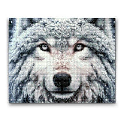 M2_Diamond_painting_-_Schneebedeckter_Wolf