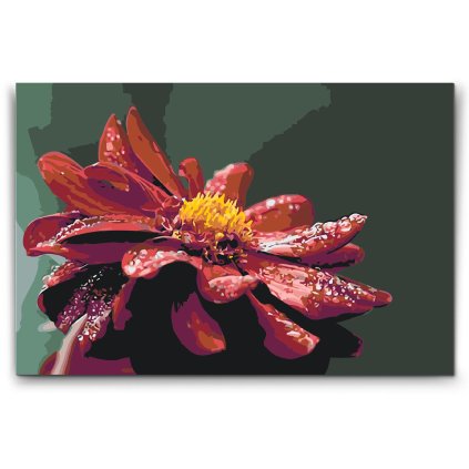 Malen_nach_Zahlen_Rote_Dahlie_M2