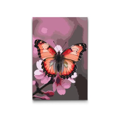 M2_Malen_nach_Zahlen_-_Schmetterling_auf_einem_Frühlingszweig