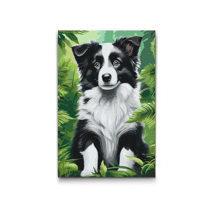 M2_Malen_nach_Zahlen_-_Border-Collie-Welpe