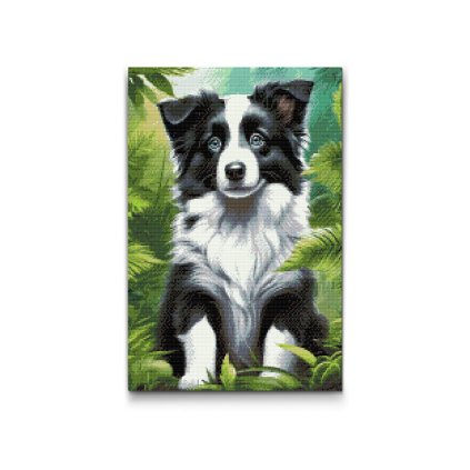M2_Diamond_painting_-_Border-Collie-Welpe