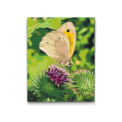 M2_Malen_nach_Zahlen_-_Schmetterling_auf_einer_Blume_sitzend