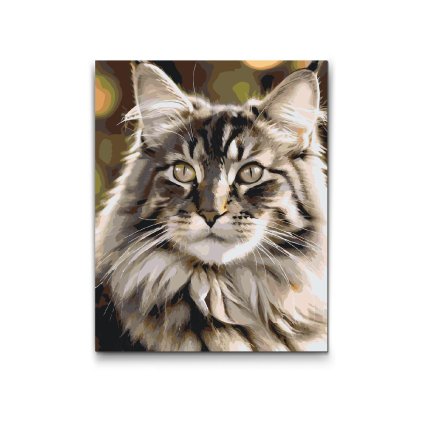 M2_Malen_nach_Zahlen_-_Maine-Waschbär-Katze