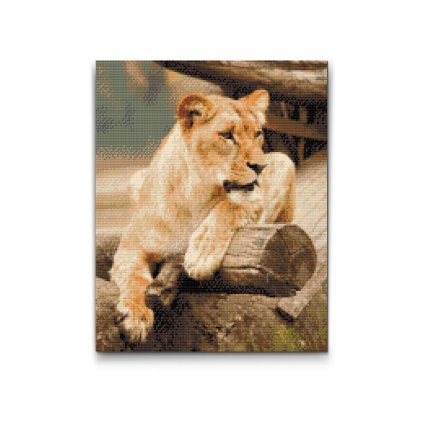 Diamond_Painting_Links_M2