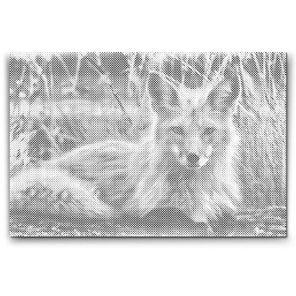 Punktmalerei_Fuchs_2_M2