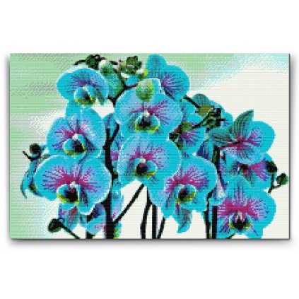 Diamond_Painting_Blaue_orchidee_M2