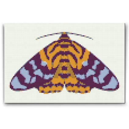 Diamond_Painting_Bunte_Motte_M2
