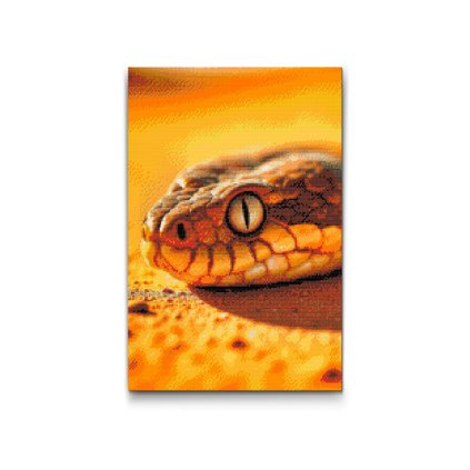 Diamond_Painting_Schlangenauge_M2