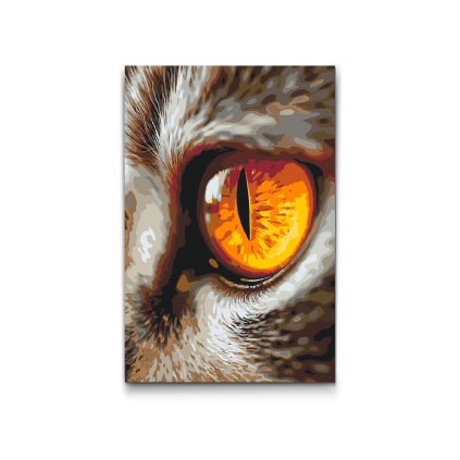 Malen_nach_Zahlen_Katzenauge_M2