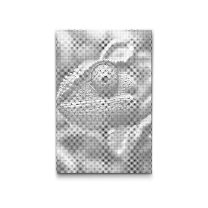 Punktmalerei_Chamaleonauge_M2