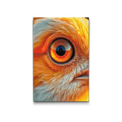 Diamond_Painting_Vogels_Auge_M2