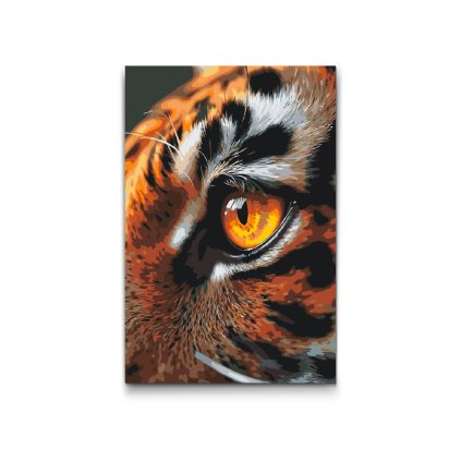 Malen_nach_Zahlen_Tigerauge_M2