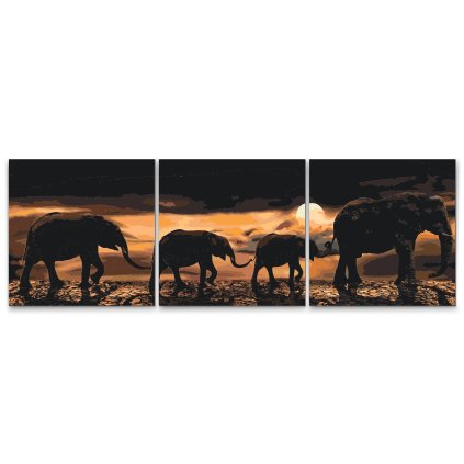 Malen_nach_Zahlen_Elefantenmarsch_durch_die_Savanne_Set_aus_3_Leinwanden_M7