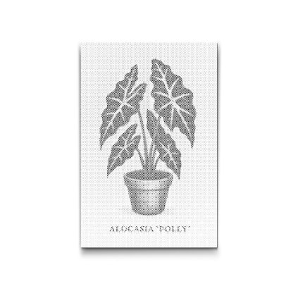 Punktmalerei_Alokasie_Polly_M2