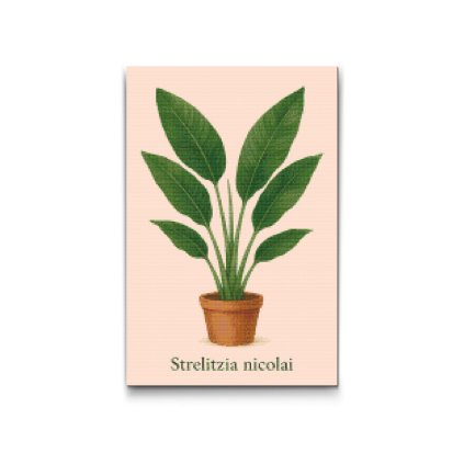 Diamond_Painting_Riesen-Strelitzie_M2