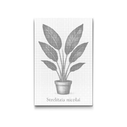 Punktmalerei_Riesen-Strelitzie_M2